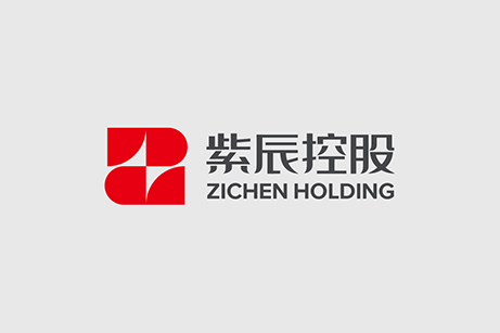 紫辰控股LOGO設計,紫辰控股標志設計,紫辰控股品牌設計,紫辰控股品牌形象設計