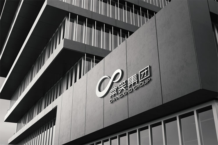 常笑集團品牌VI形象設計,標志設計和LOGO設計