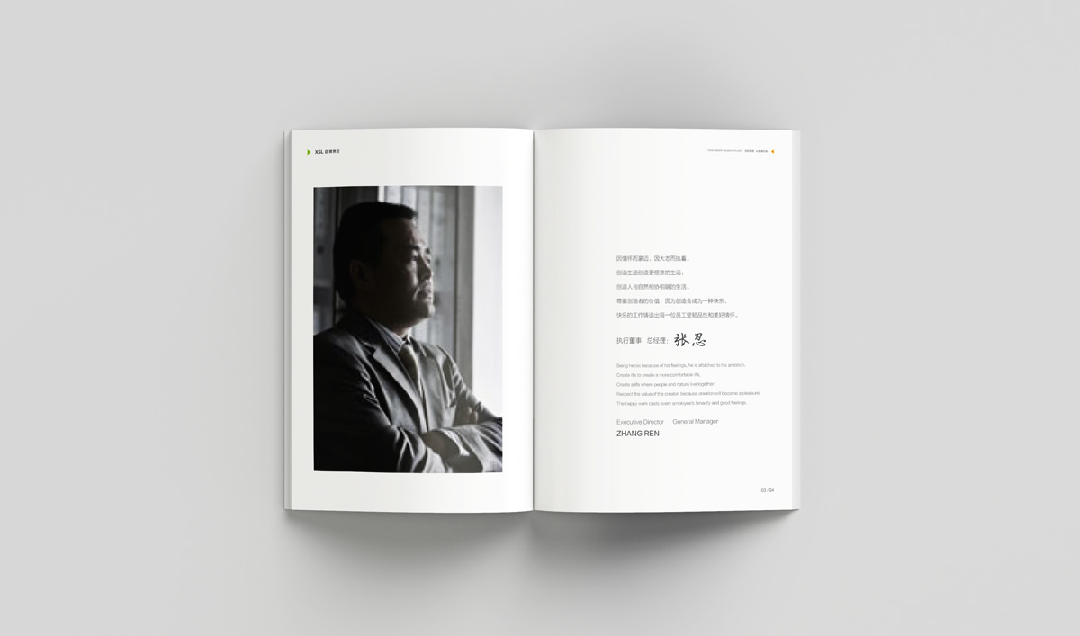 雄獅景觀畫冊設計,雄獅景觀標志設計,雄獅景觀品牌形象設計,雄獅景觀LOGO設計