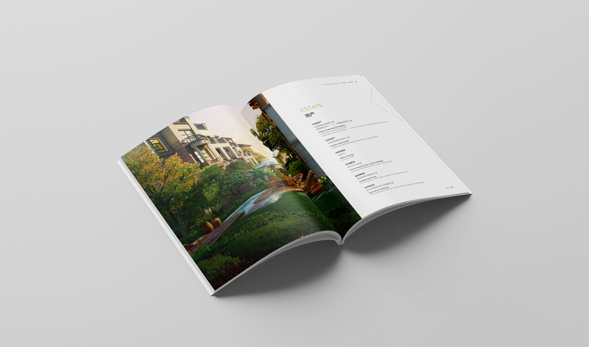 雄獅景觀畫冊設計,雄獅景觀標志設計,雄獅景觀品牌形象設計,雄獅景觀LOGO設計